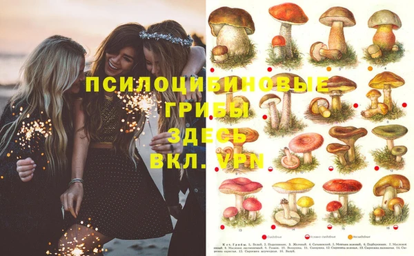 MDMA Premium VHQ Нефтекумск